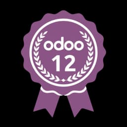 Odoo 12